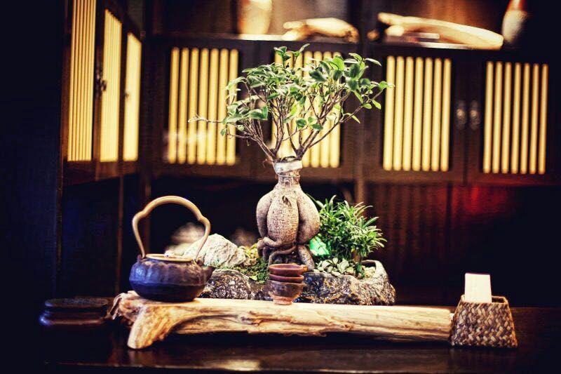 Ningbo Zhengfang Inn Exterior foto